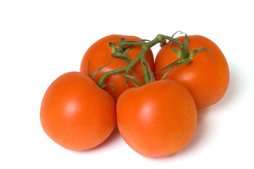 Four tomatoes, isolated on white