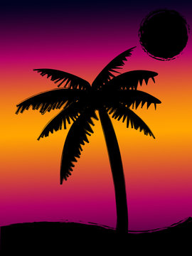 Tropical Sunset Vector Illustration