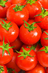 Wet whole tomatos arranged at the market