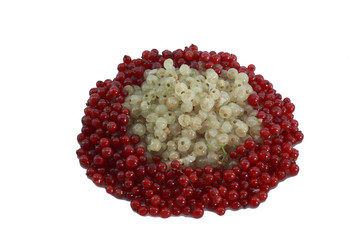 Johannisbeeren_Kranz