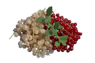 Johannisbeeren_Minze