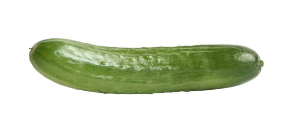 Cucumber
