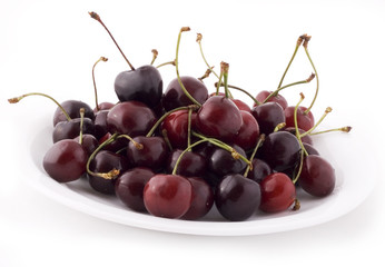 Cherries on white background