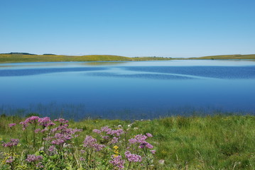 Aubrac, lac St Andéol 5