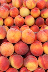 Fototapeta na wymiar Bunch of peaches