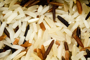 grains de riz