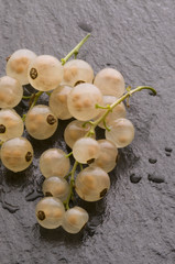 Uva spina bianca