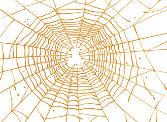 Obraz premium toile d'araignée