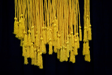 Honor Cords 1 - 8383246