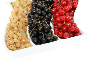 Bowl of currants.