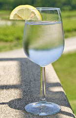 Glass of Water with a Lemon Wedge