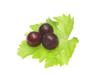 Grapes on vine leaf
