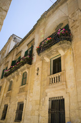 Fototapeta na wymiar casa iguanez palace mdina malta