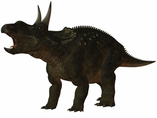 Fototapeta premium Diceratops-3D Dinosaurier