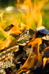 Fire