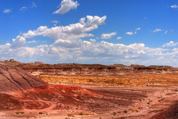 Petrified Forest
