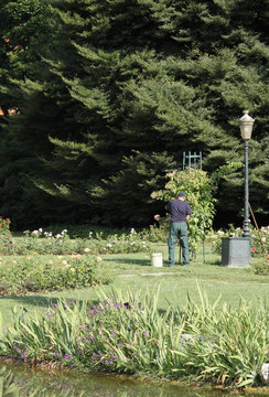 jardinier