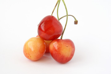 cherry