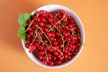 Redcurrant in a bowl on wooden background