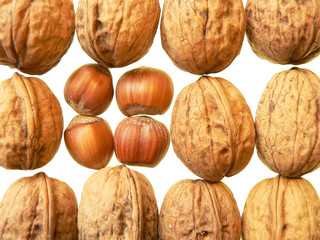 walnuts and hazelnuts
