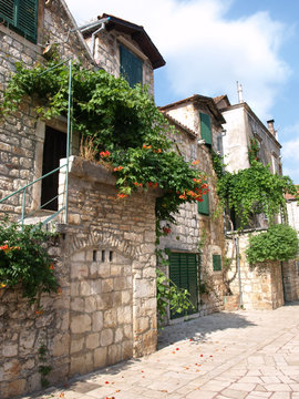 Fototapeta dalmatian house