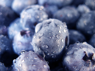 Fresh and sweet blueberry