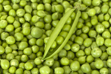 Erbsen