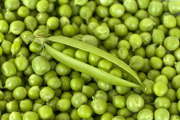 Erbsen