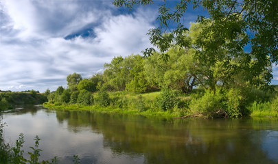 Fototapeta na wymiar river and trees
