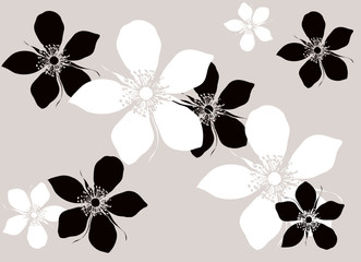 Hintergrund Floral Blumenuster Vektor