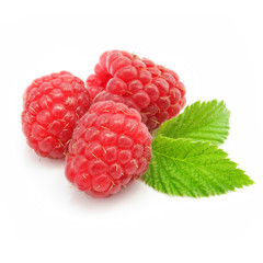 red raspberry fruits isolated