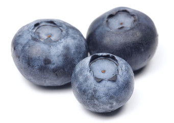 Blueberry Macro