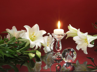 Flower Composition