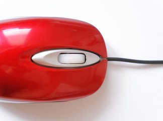 Maus rot, angeschnitten von oben