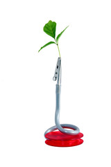 Desk Leaf