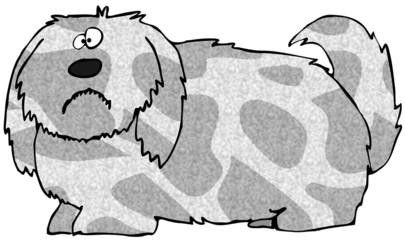 Shaggy Dog