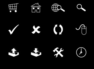 Fototapeta premium Web Icons with reflection