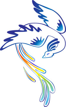 Bird with tail of rainbow. Vector illustration.