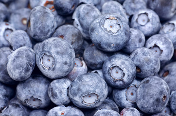 Blueberry Background