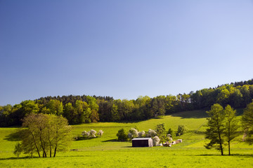 Fototapeta premium Landschaft im Orlatal