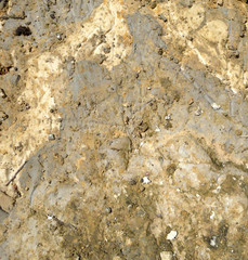 Mud Bank 3