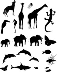 Animal Silhouette