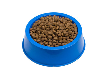 Pet Food Bowl Isolated White on Background