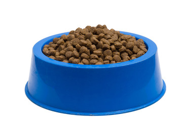Pet Food Bowl Isolated White on Background