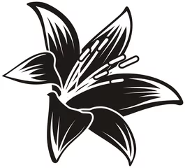 Photo sur Plexiglas Fleurs noir et blanc fleur isolée