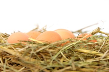 Eier im Stroh