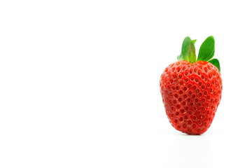 eine frische Erdbeere