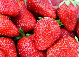 frische Erdbeeren