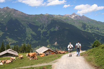 Schweiz