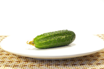 Ripe cucumber on a plate